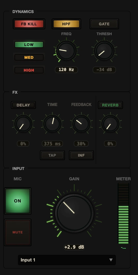 Dub Control mic channel with dynamics, echo and reverb sends, gain and metering